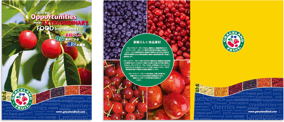 センター折りポケット付き 8ページ