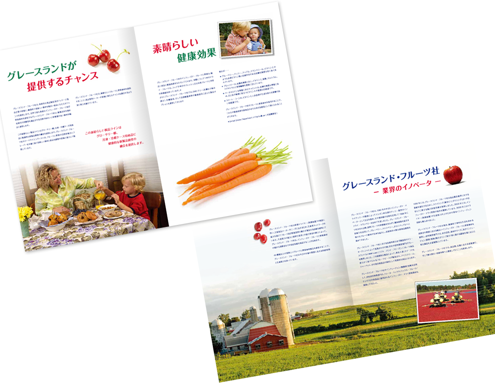 センター折りポケット付き 8ページ