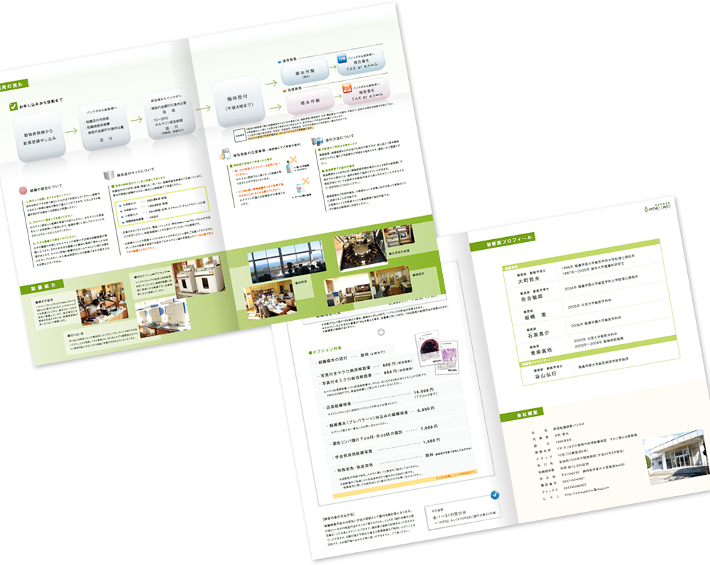 中綴じ 8ページ