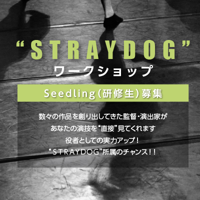 有限会社ストレイドッグプロモーション 様