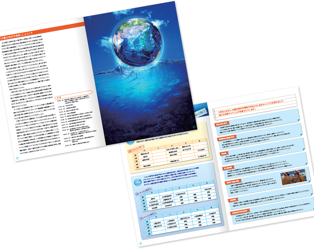 中綴じ 20ページ