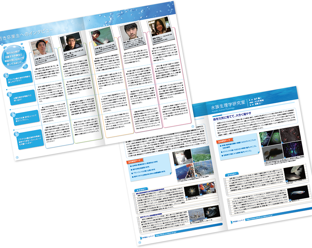 中綴じ 20ページ